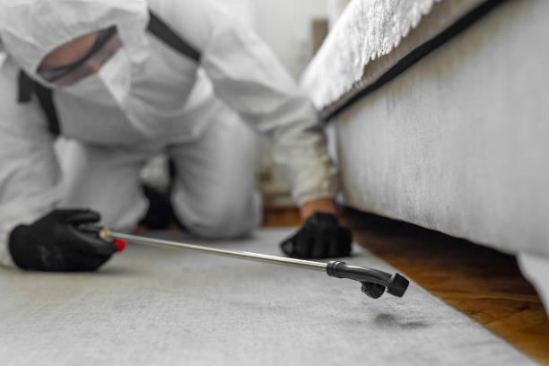 Professional Pest Control technician working in Wichita, KS