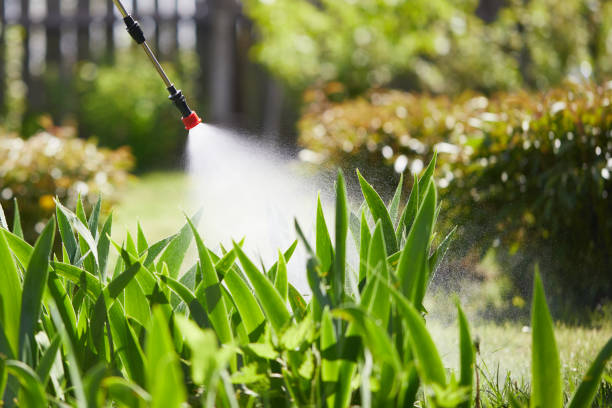 24/7 Emergency Termite Control experts in Wichita, KS