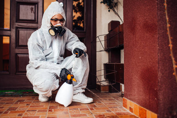 Reliable Termite Control contractor in Wichita, KS by Nex Pest Control