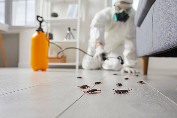 Trusted Fumigation Services service in Wichita, KS - Nex Pest Control