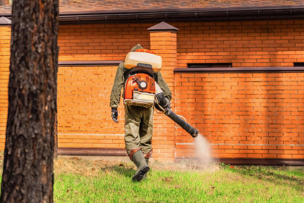 Trusted Cockroach Control service in Wichita, KS - Nex Pest Control